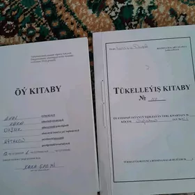 Dusak satlyk jay