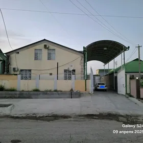 coganly satlyk jay