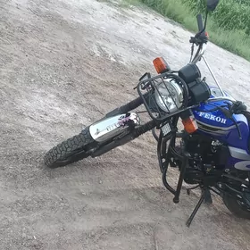 Fekon FK150-8G 2005