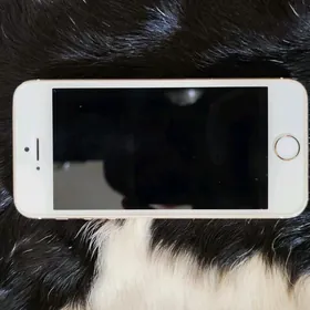 iPhone 5s