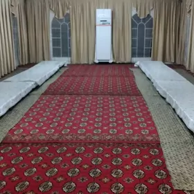 Gummez palatga