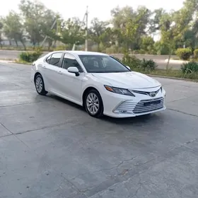 Toyota Camry 2020
