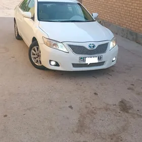 Toyota Camry 2010