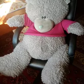 TEDDY MISKA