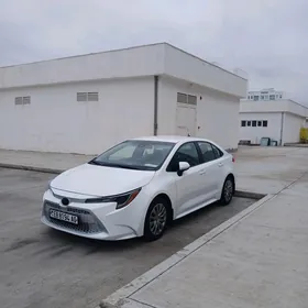 Toyota Corolla 2021