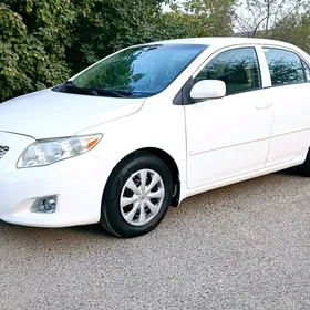 Toyota Corolla 2008