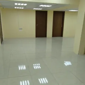 ATELŸE ŞWEŸNI ARENDA