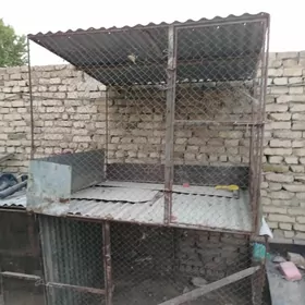 Towuk ketek