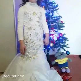 Ak koynek