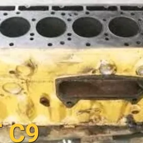 cat c9 blogy