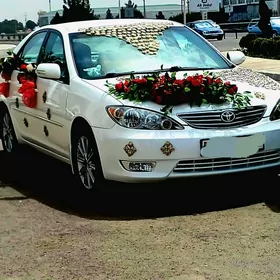 Toyota Camry 2002