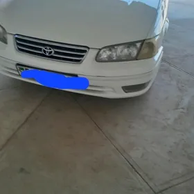 Toyota Camry 1999