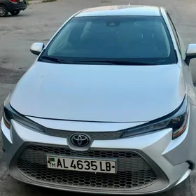 Toyota Corolla 2020