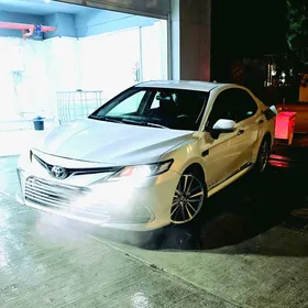 Toyota Camry 2020