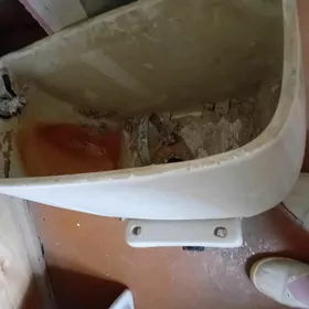 БАЧОК