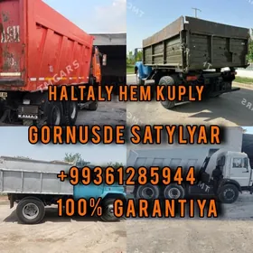 Miti Sement Toyun sebil gum