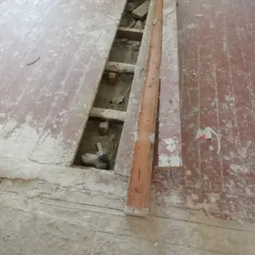 polluk agac laminat alyan