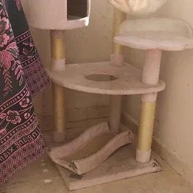 Когтеточка
