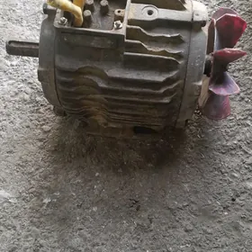 Elektro mator
