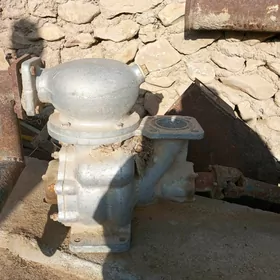 Nasos