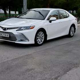 Toyota Camry 2019
