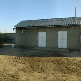 Esekgeris jaý