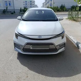 Toyota Corolla 2021
