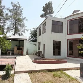Satlyk Daca 18 sotuk Wekilbazar