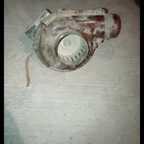 Vinteliator  Peçka mator