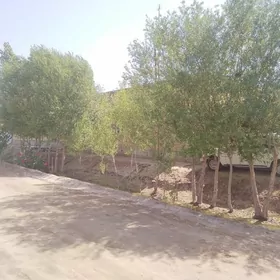 Satlyk jay Turkmenbasy