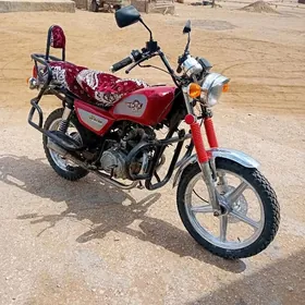 Fekon FK150-8G 2025