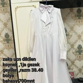 zaks koynek