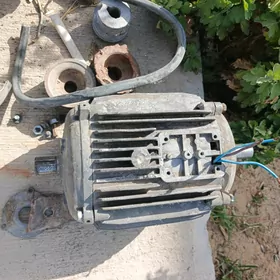 motor elektro dwigatel