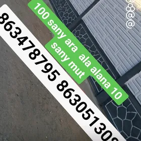Bion zabor