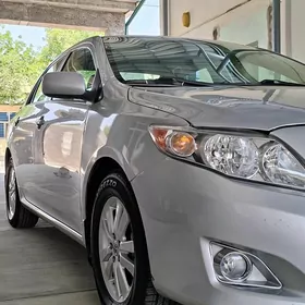 Toyota Corolla 2010