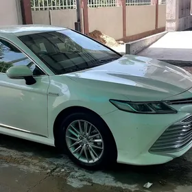 Toyota Camry 2020