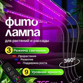 фитолампа