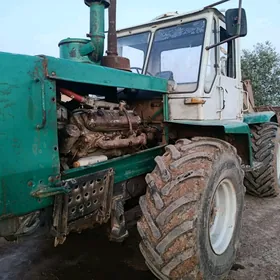 MTZ 80 2015
