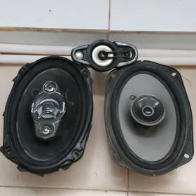 kalonkalar pioneer