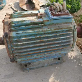 motor elektro dwigatel