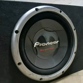 pioner bas bocka