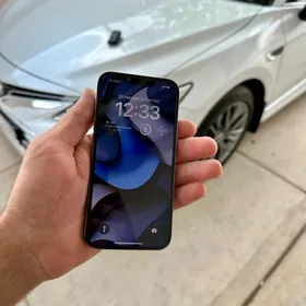 iphone 13pro