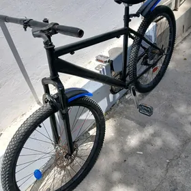 26lyk tigir