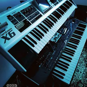 Korg fantom x6