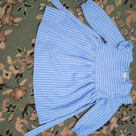 Чага койнек