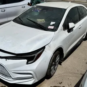 Toyota Corolla 2024