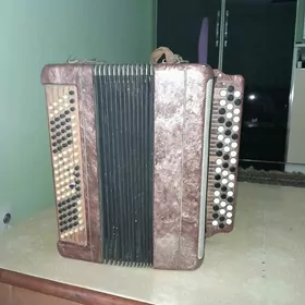 Баян  Тульский
