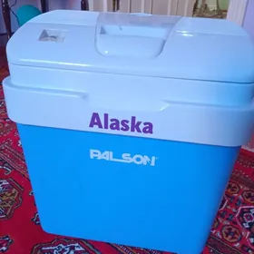 Masyn holadinlik