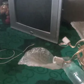 telvizir