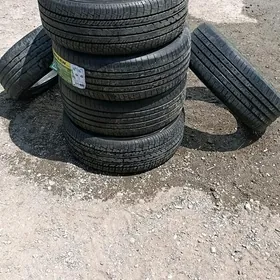 Pakyryşga